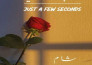 make novel cover and urdu book covers and cover design